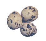 Calories in Quail Eggs